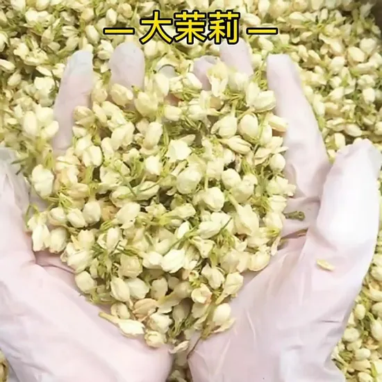 Dried Jasmine Buds Tea Blooming Jasmine Flower Tea