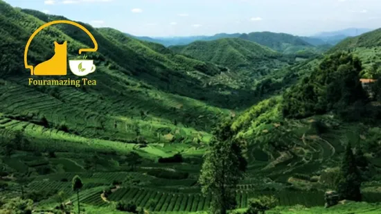 Fouramazingtea Jasmine Green Tea and Rose Ripe/Shu Pu′er/Rose Yunnan Instant Tea Powder Chinese Green Tea of Whole Leaves or Buds Chinese Wholesale Slimming