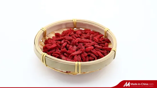 2025 Harvest Dried Jasmine Buds Jasmine Blooming Tea 