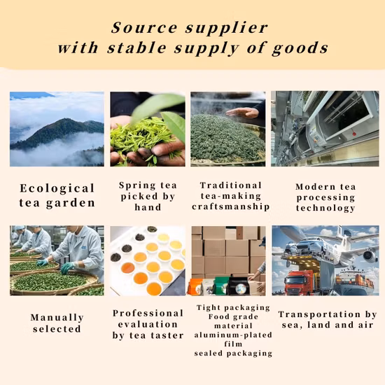 Organic White Tea (EU standard)