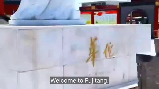 Fujitang